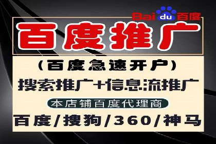 电商平台信息流广告的创意与执行案例分析